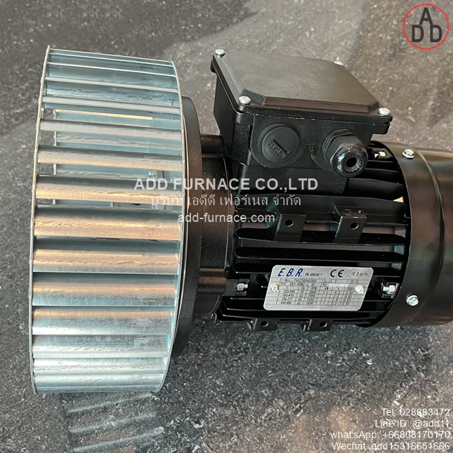 TYPE YE3-80M2-2 B5 With D250x84-D19 Fan Wheel (9)